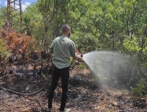 Kiğı’daki Orman Yangını Söndürüldü